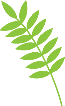 Leaf 1
