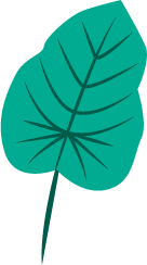 Leaf 2