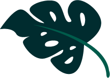 Leaf 3