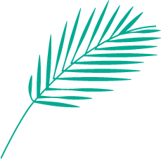 Leaf 6