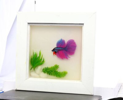 Tranh Cá Xiêm 3D Treo Tường