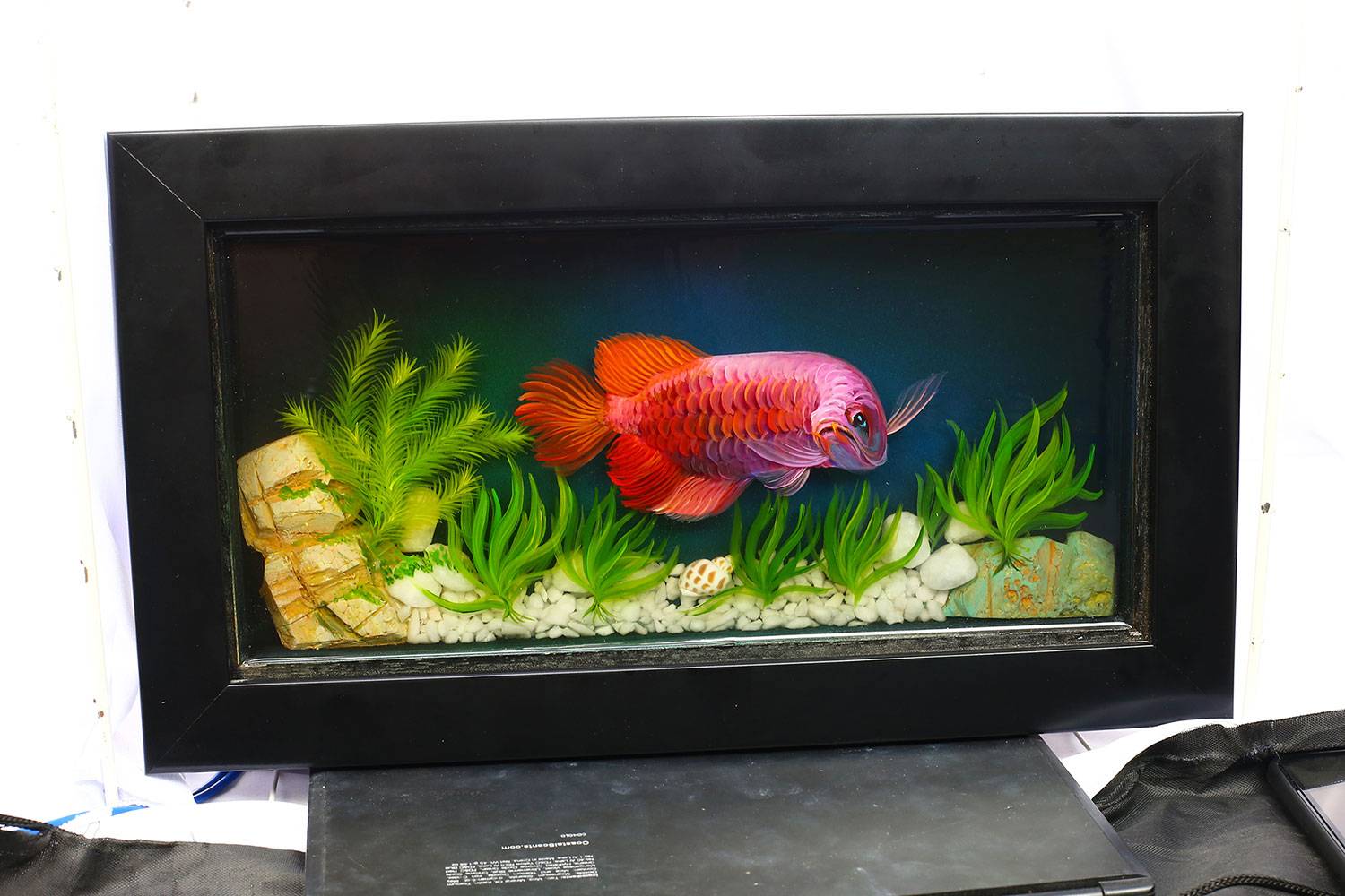 Tranh Cá 3D Treo Tường 3