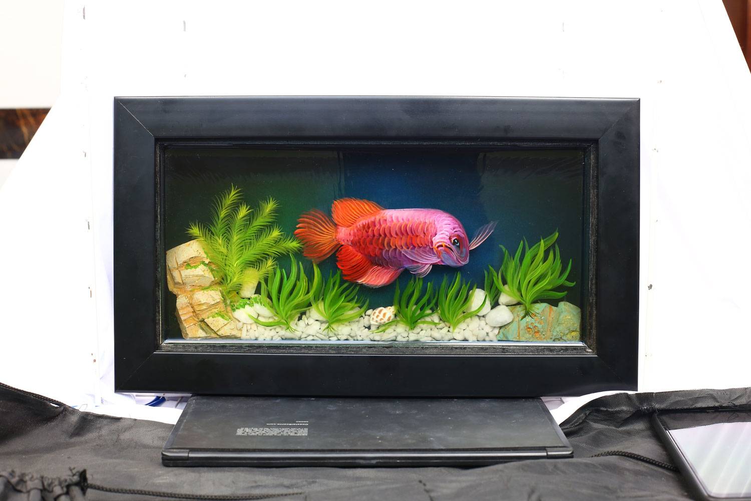 Tranh Cá Ngân Long 3D Treo Tường 1