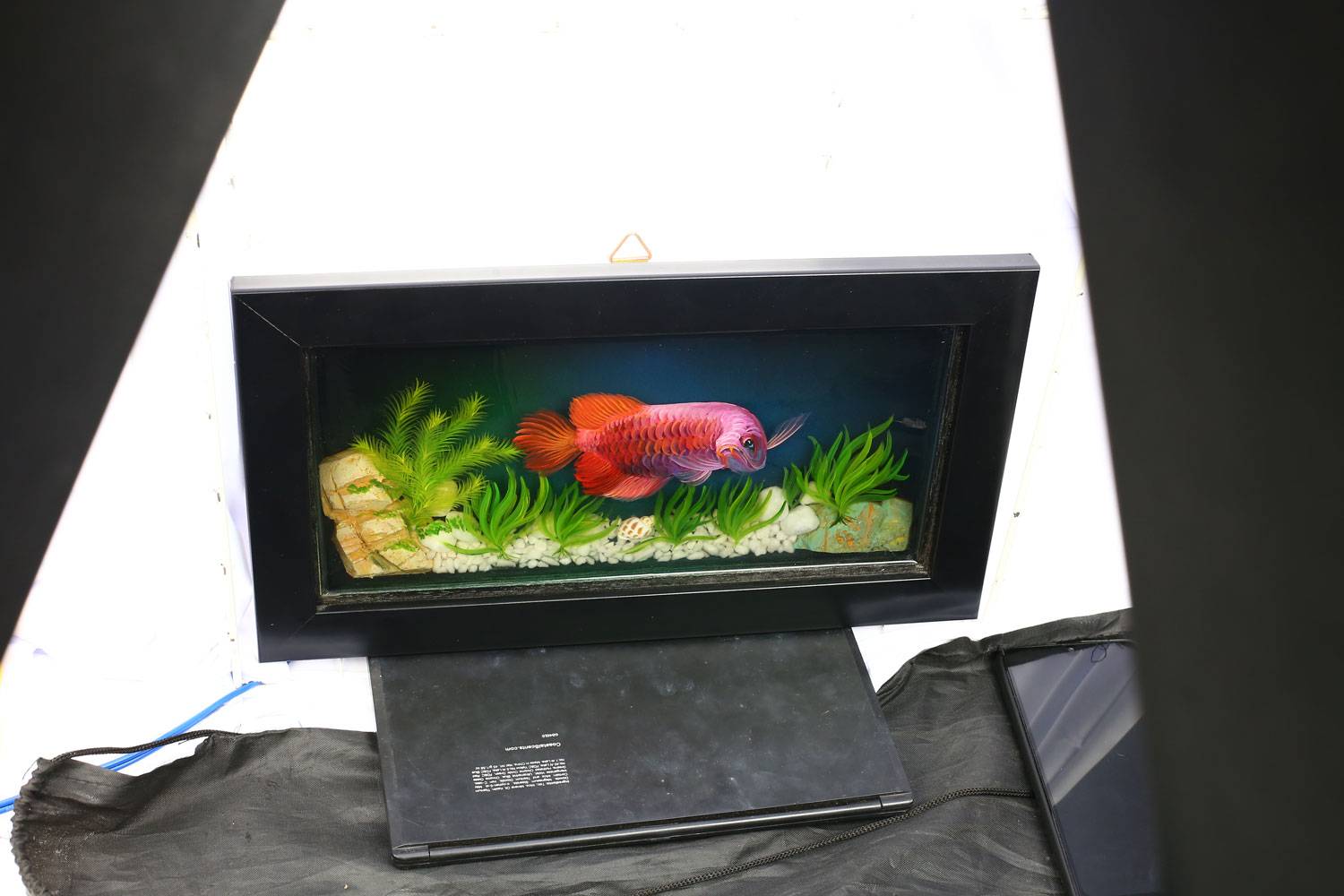 Tranh Cá Ngân Long 3D Treo Tường 2