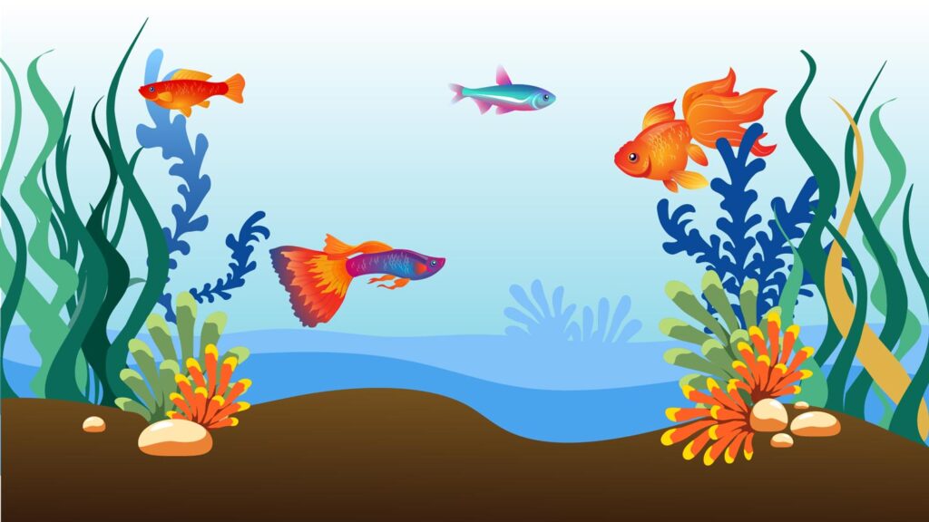 Giới Thiệu Tranh Cá 3D