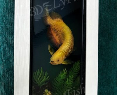 Tranh Cá Kim Long 3D Treo Tường